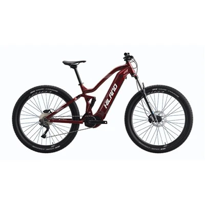 باتری 29 اینچی SAMSUNG LI-ION Mtb E Bike